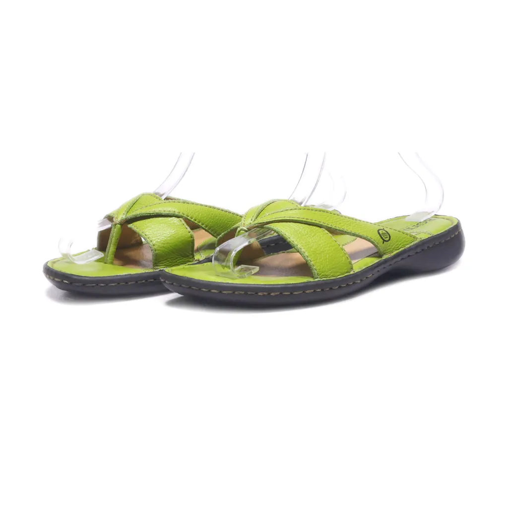 Born Flat Sandals Leather Green Colour For Women